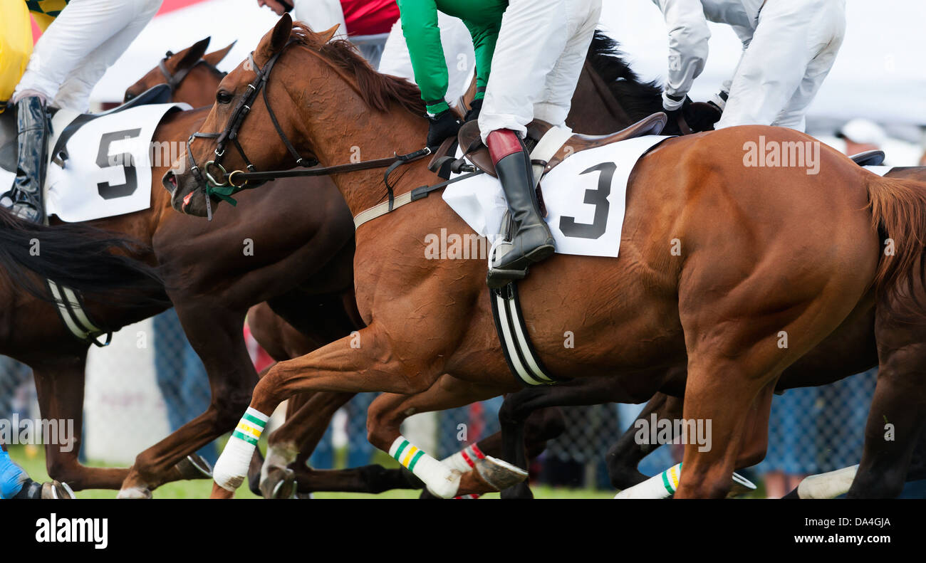 Vista laterale di close-up di cavalli da corsa in esecuzione Foto Stock