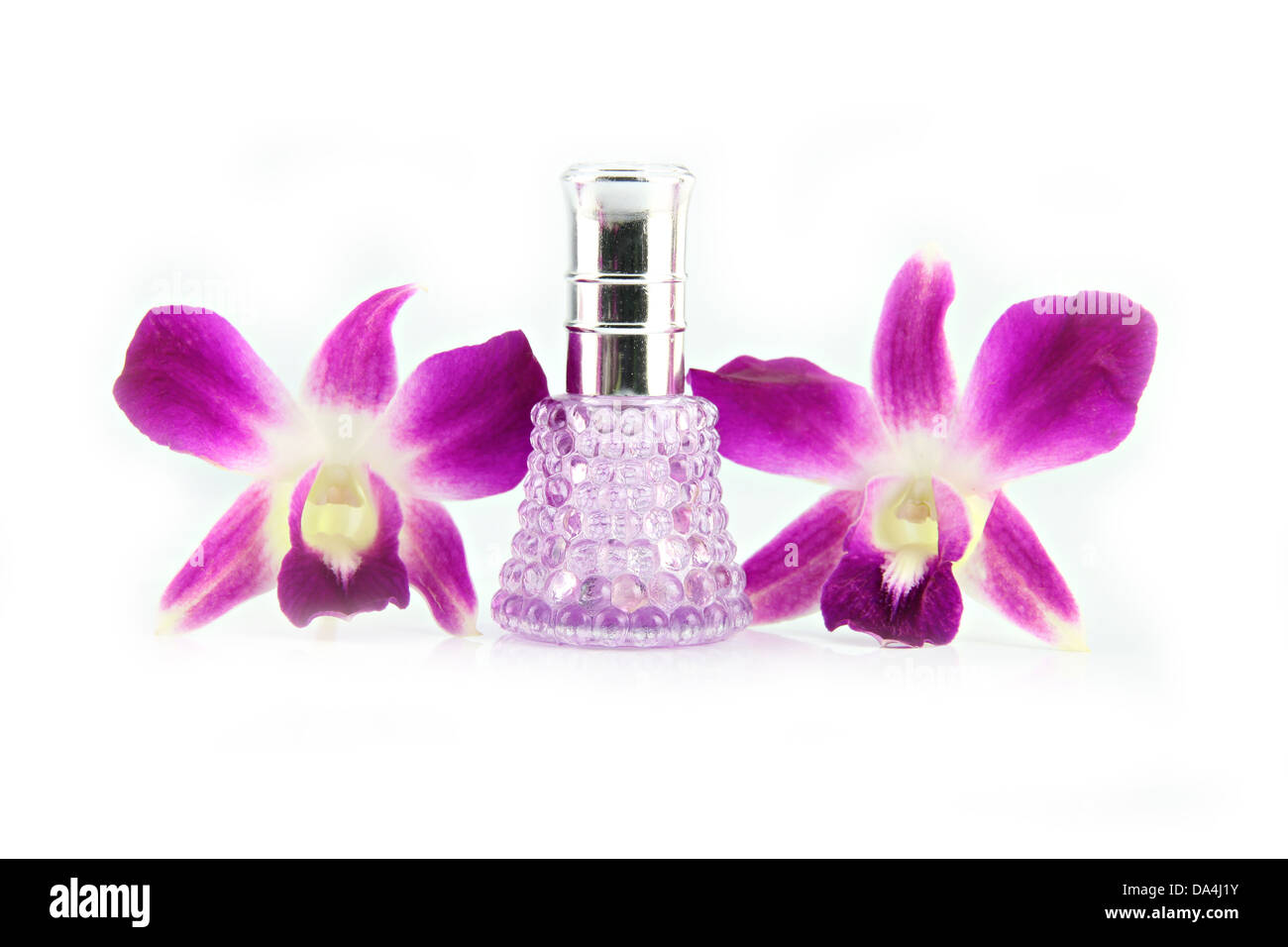 L'orchidea viola e viola per bottiglie di profumo sullo sfondo bianco. Foto Stock