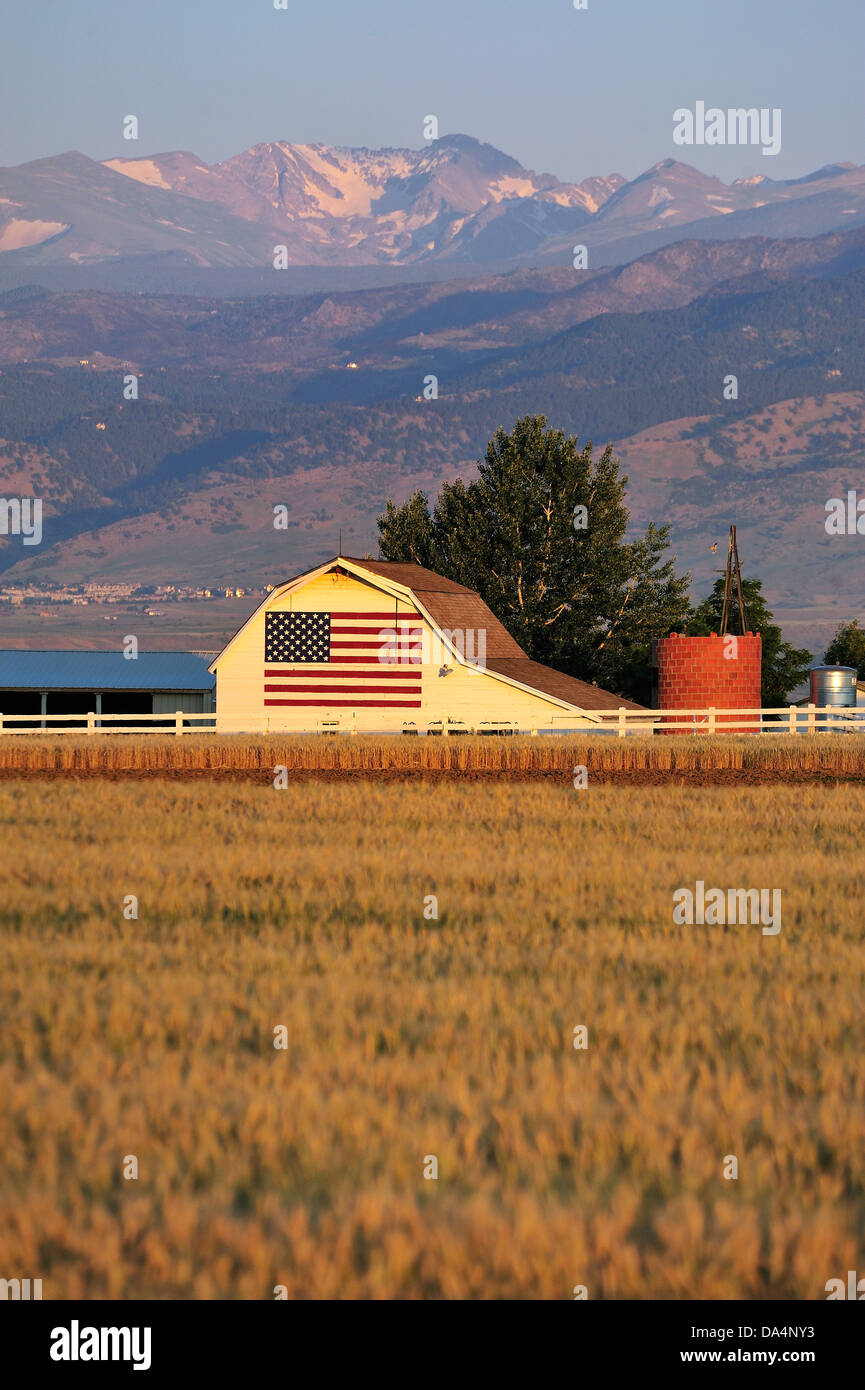 Fattoria di grano, Colorado, STATI UNITI D'AMERICA Foto Stock