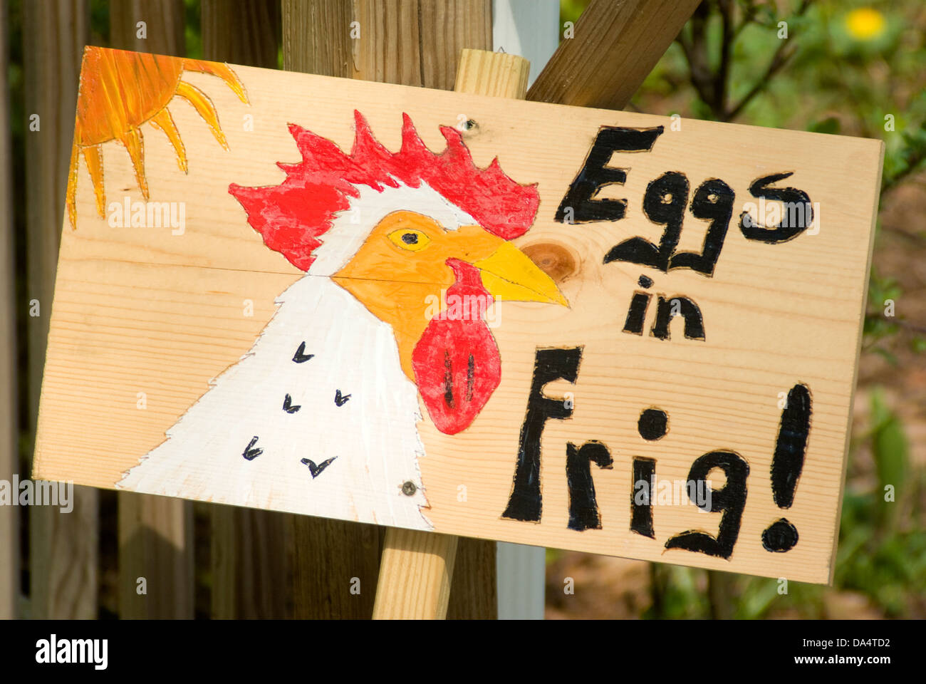 Segno in self service sul ciglio della strada del mercato di fattoria la vendita di uova Foto Stock