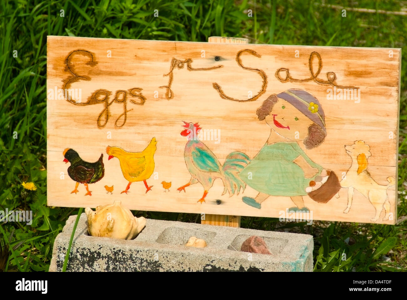 Segno in su strada del mercato di fattoria la vendita di uova Foto Stock