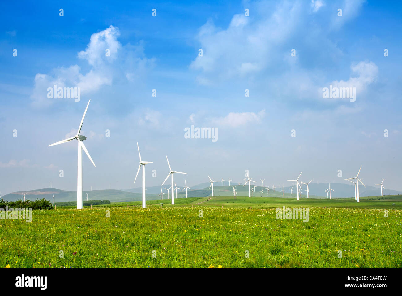 Bella e verde prato con turbine eoliche che generano elettricità Foto Stock