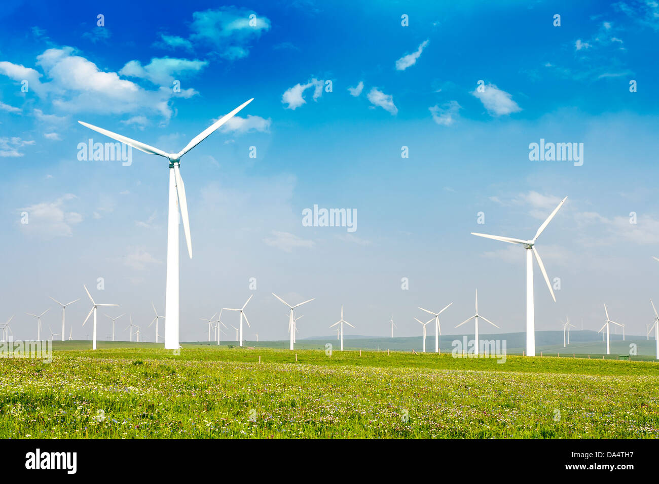 Bella e verde prato con turbine eoliche che generano elettricità Foto Stock