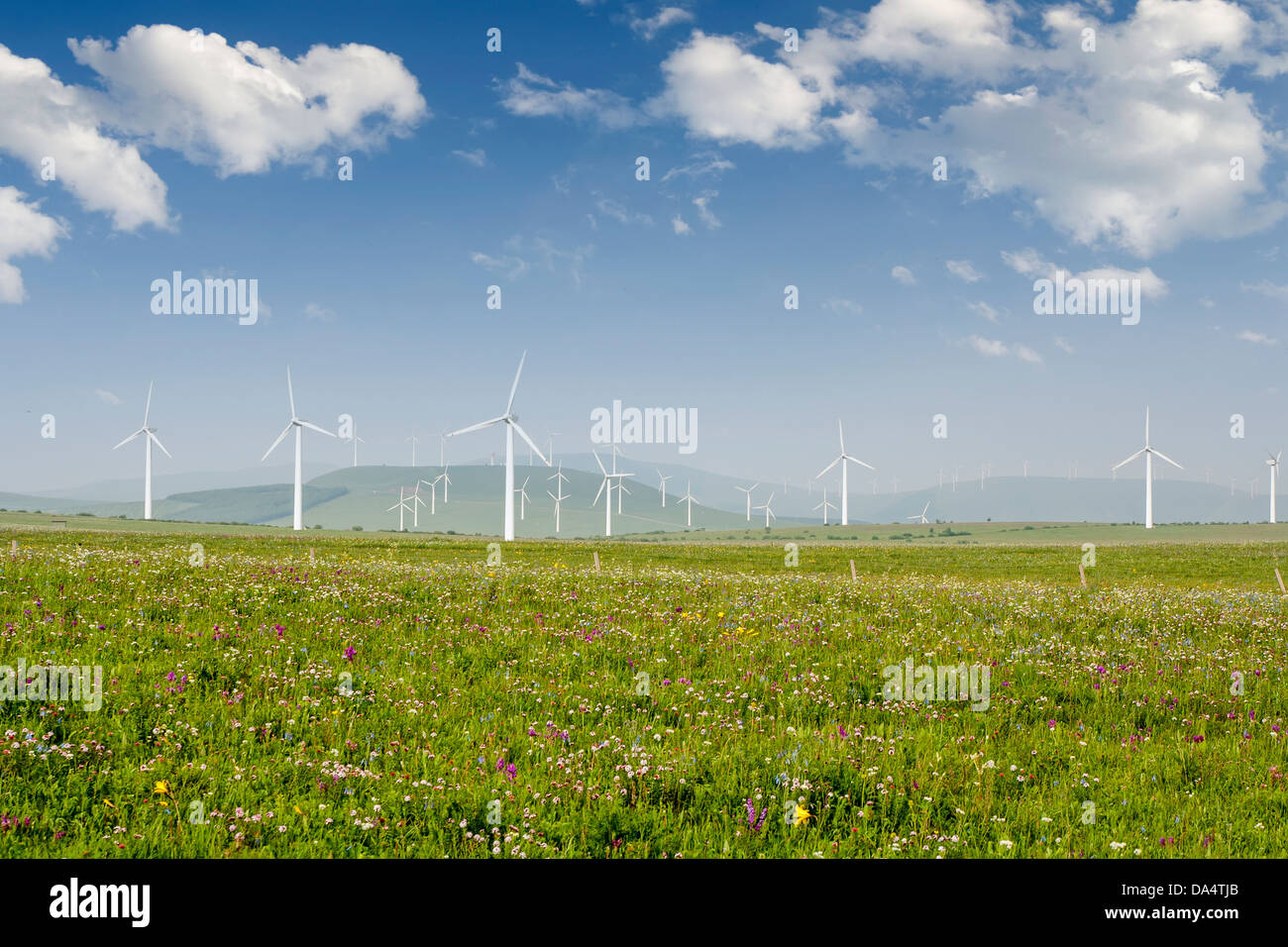 Bella e verde prato con turbine eoliche che generano elettricità Foto Stock