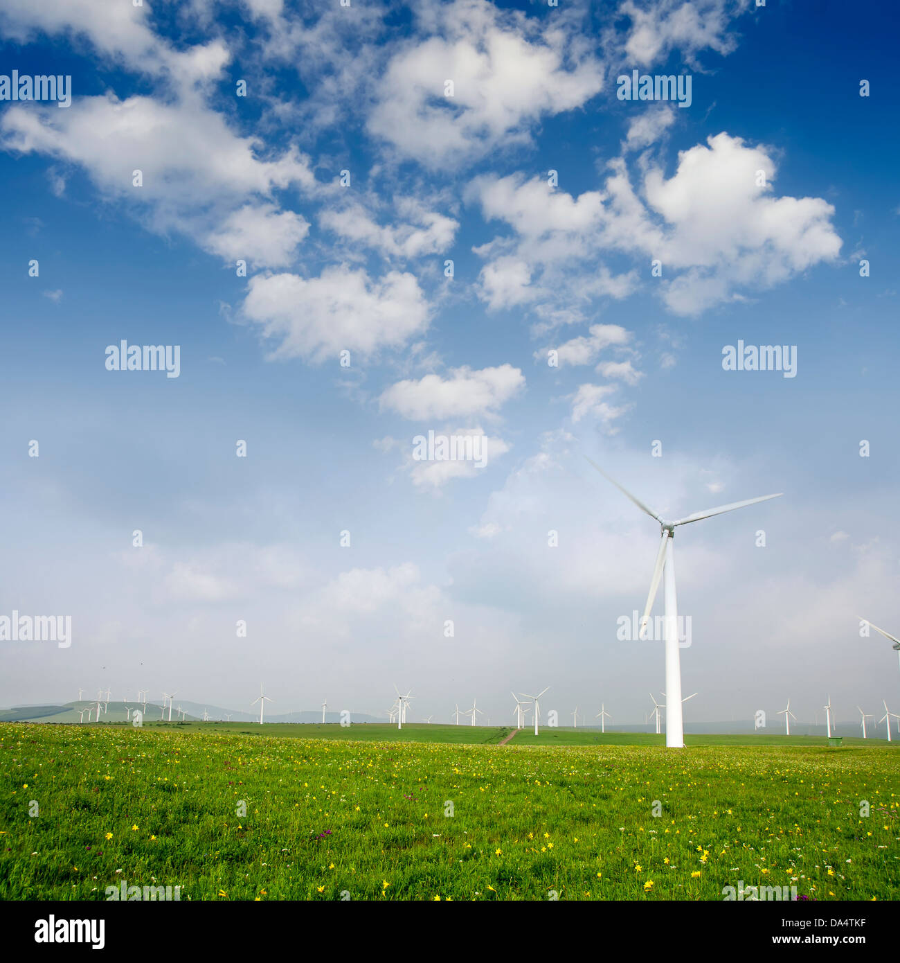 Bella e verde prato con turbine eoliche che generano elettricità Foto Stock