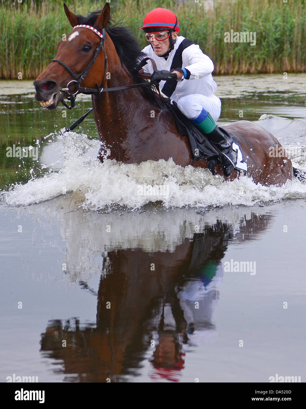 Amburgo, Germania. 03 Luglio, 2013. Vlastislav Korytar sul sole indiano, vincitore del lago gara di suoneria (Seejagdrennen), conduce all'acqua ostacolo durante il equina sport galoppo derby incontro al racecourse Hamburg-Horn ad Amburgo, Germania, 03 luglio 2013. Foto: Axel HEIMKEN/dpa/Alamy Live News Foto Stock