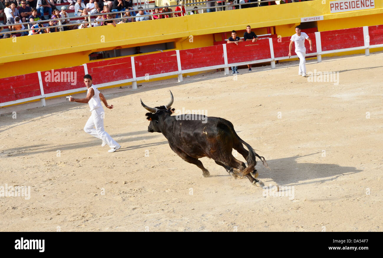 Di Saintes-Maries-de-la-Mer è una posizione unica, conservate e ancora selvaggia, che offre molto di più che solo i piaceri della spiaggia. Foto Stock