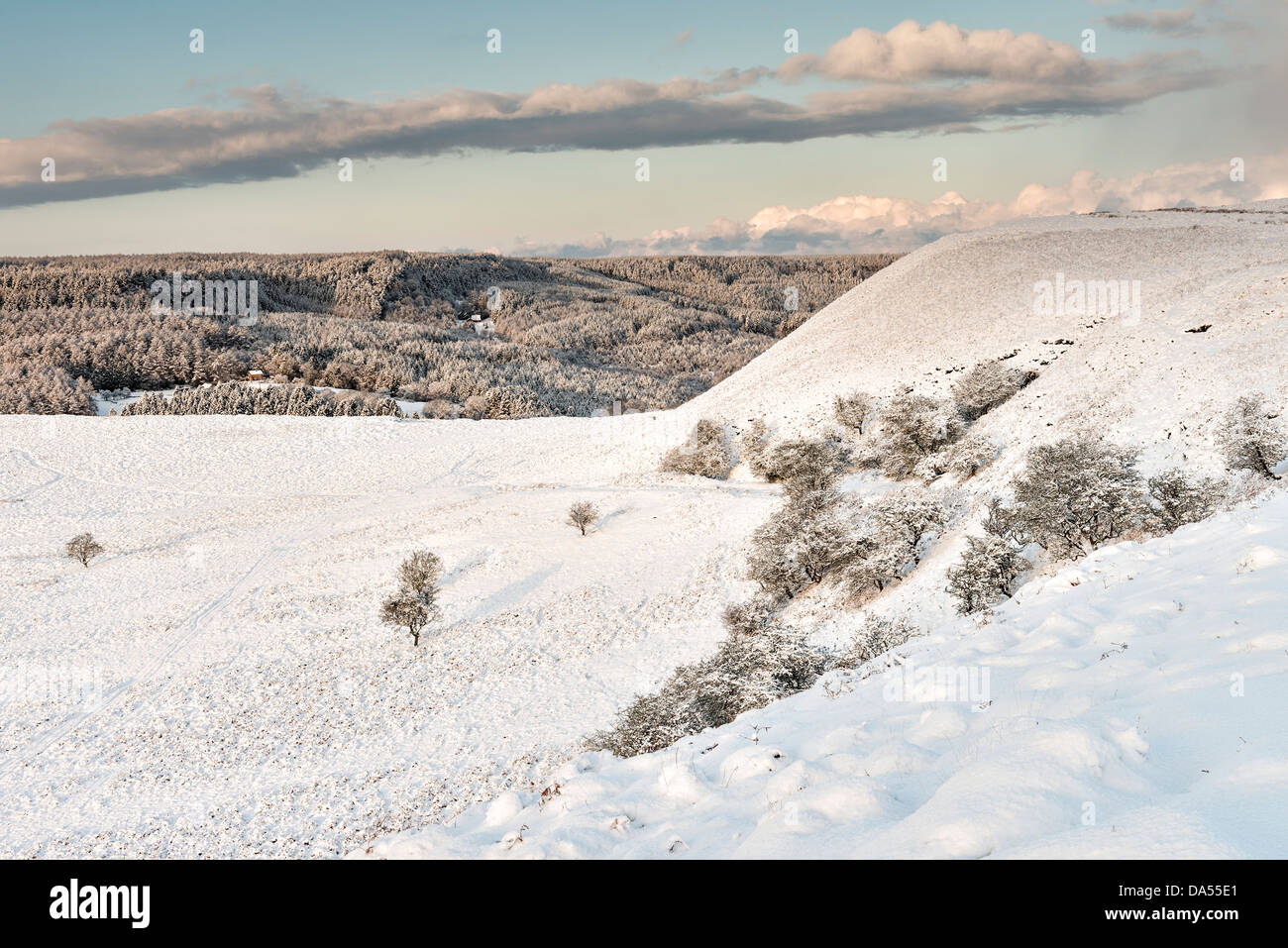 Guardando verso Skelton Tower da sopra Levisham, con Newtondale in background Foto Stock