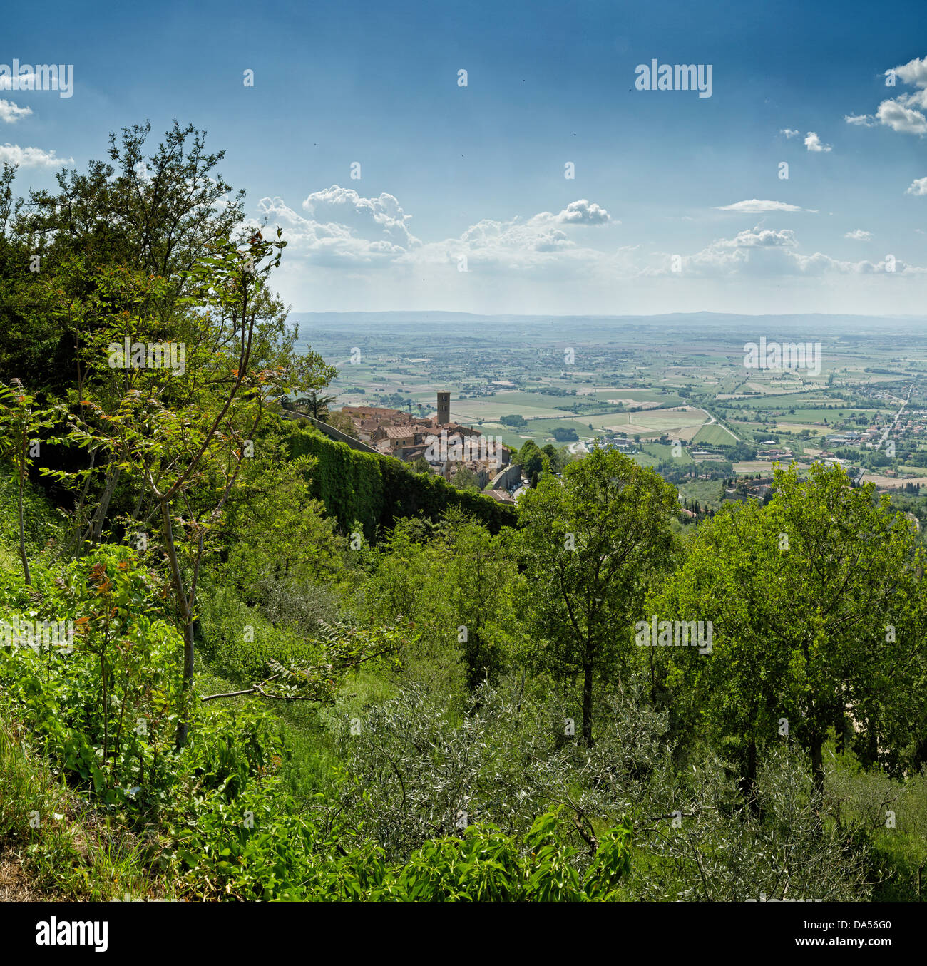 Cortona, Italia, Europa, Toscana, Toscana, scenario, verde Foto Stock