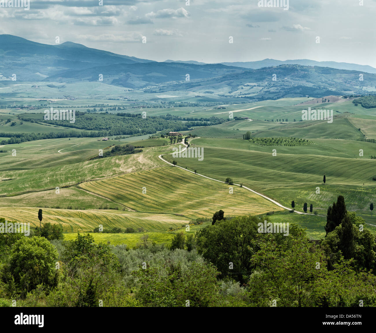 Pienza, Italia, Europa, Toscana, Toscana, scenario, l'agricoltura, la verde collina, campi Foto Stock