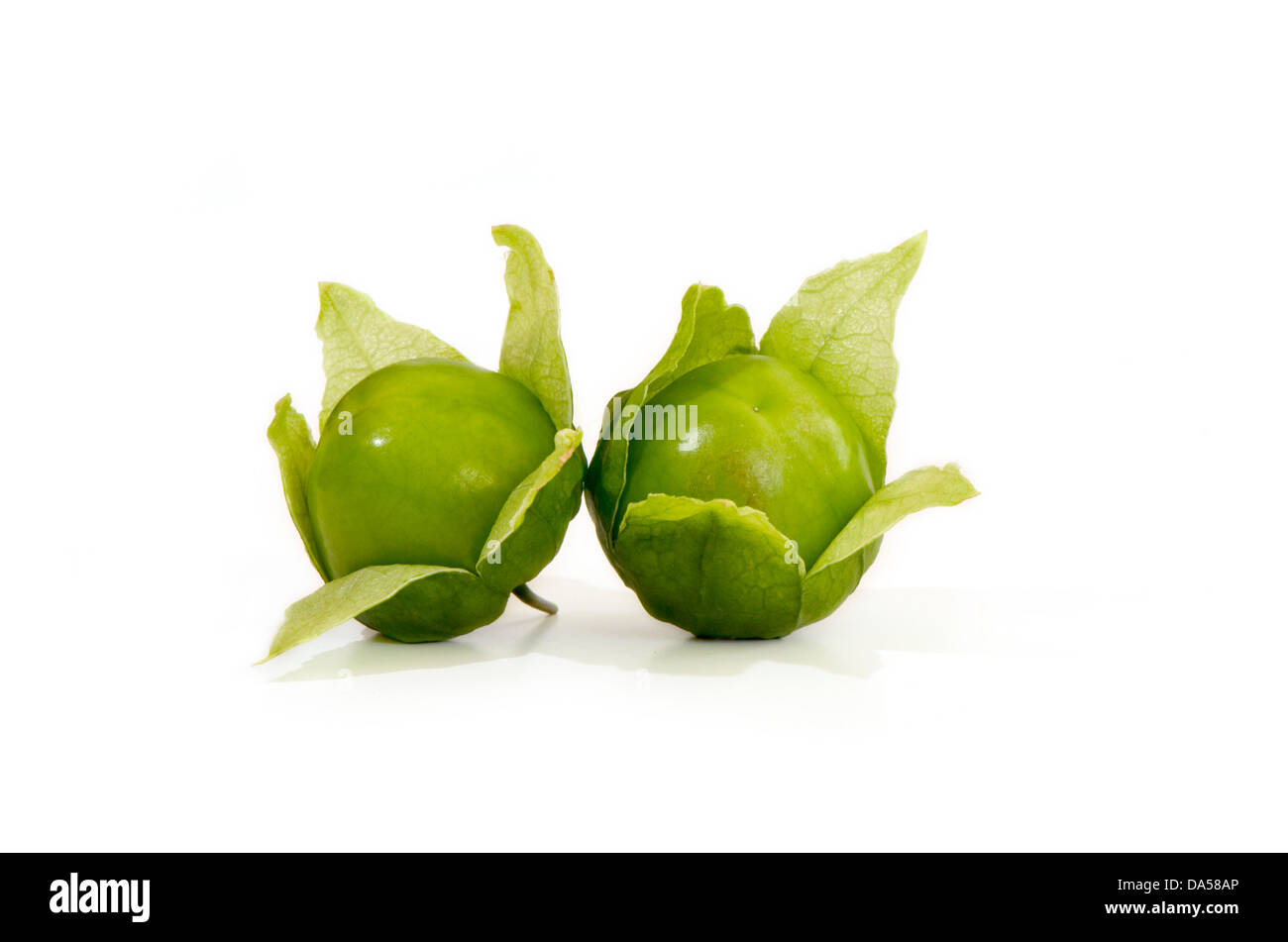 Close-up di Green tomatillo, Physalis philadelphica, frutta su sfondo bianco. Foto Stock