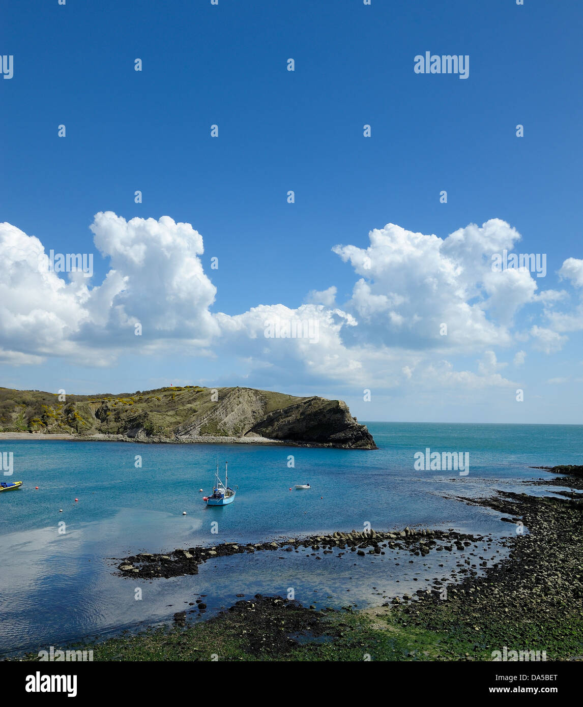 Lulworth cove Dorset England Regno Unito Foto Stock