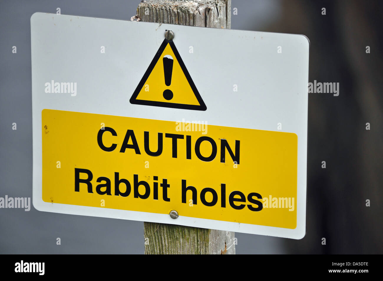 Segno di avvertimento del coniglio fori sulle isole di Orkney Foto Stock