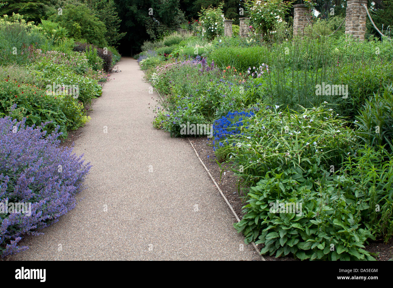 Confine erbacee in estate, Università di Leicester Botanic Garden Foto Stock
