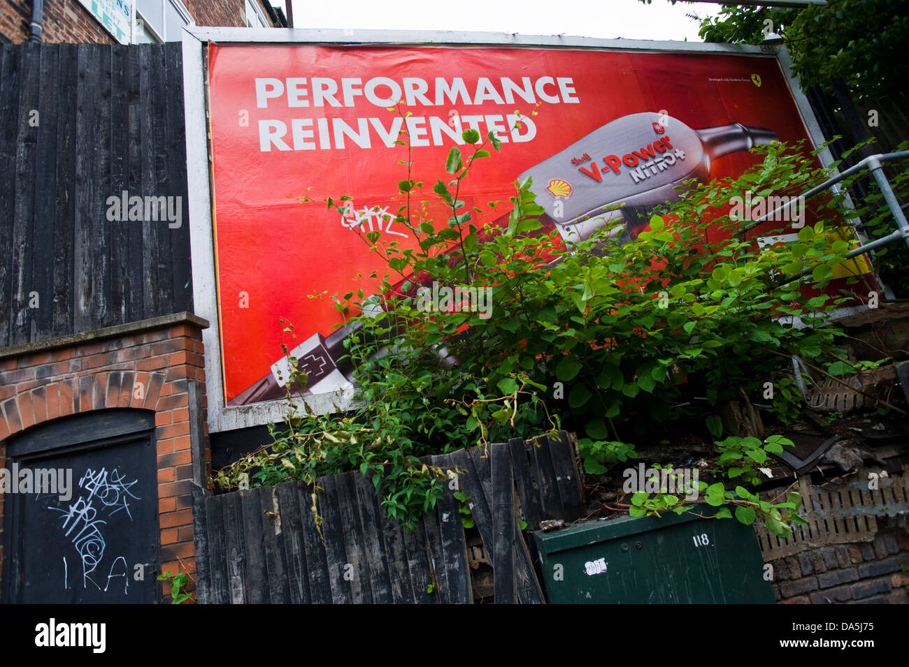 Ricoperta con knotweed giapponese affissioni poster del sito per Shell V-Power Nitro+ carburante in Leeds West Yorkshire England Regno Unito Foto Stock