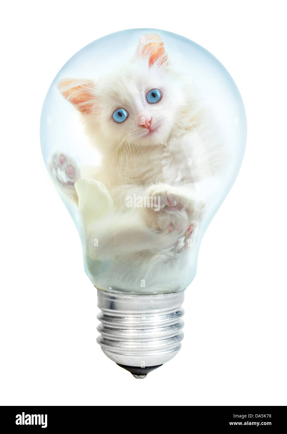 Lampada elettrica e gattino su sfondo bianco Foto Stock