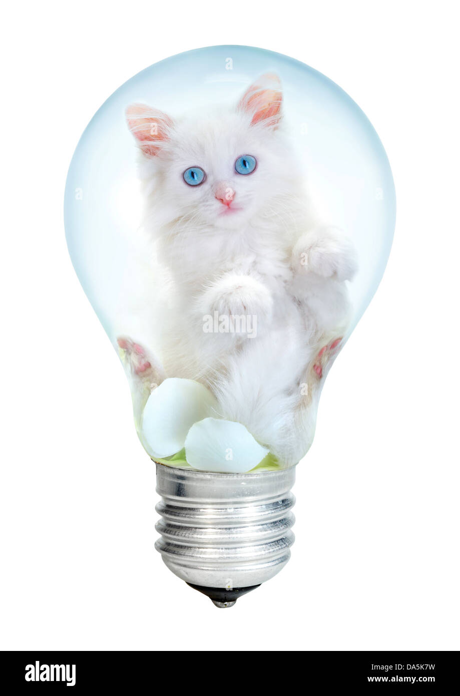 Lampada elettrica e gattino su sfondo bianco Foto Stock
