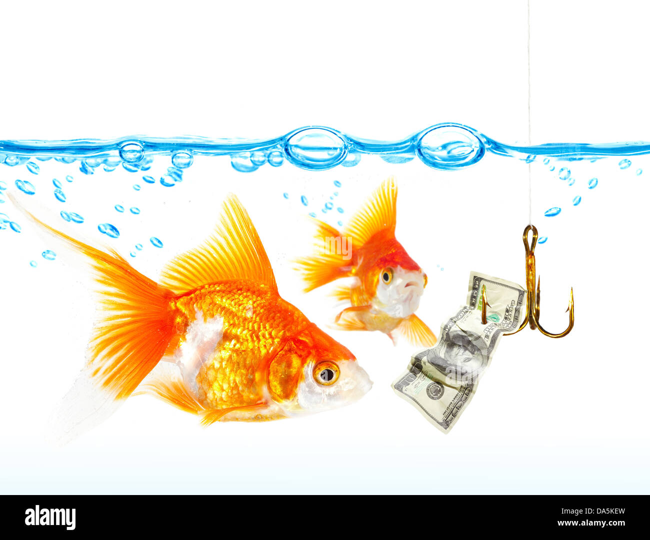 Oro piccoli pesci sotto l'acqua ... Foto Stock