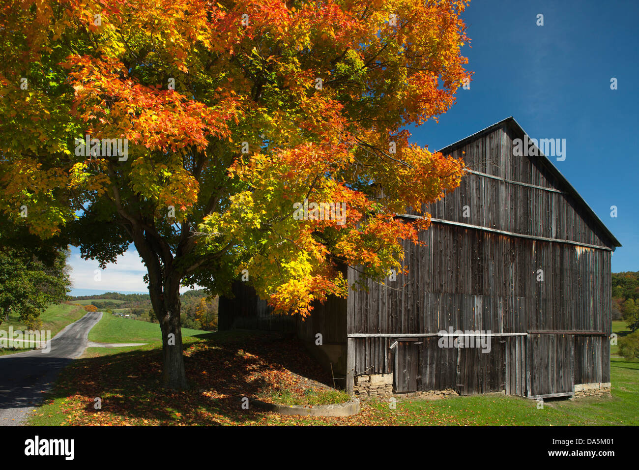 Caduta delle Foglie a due livelli e fienile banca indiana COUNTY PENNSYLVANIA USA Foto Stock