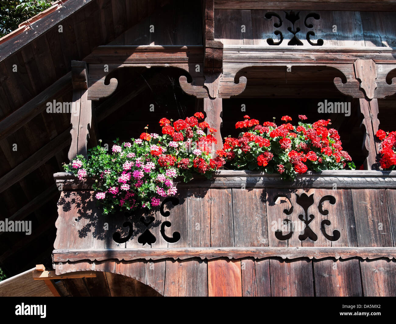 Floreali, decorazione, gerani, facciata in legno, Timber house, canton Berna Berna, Rüegsau, Svizzera, Europa, storage Foto Stock