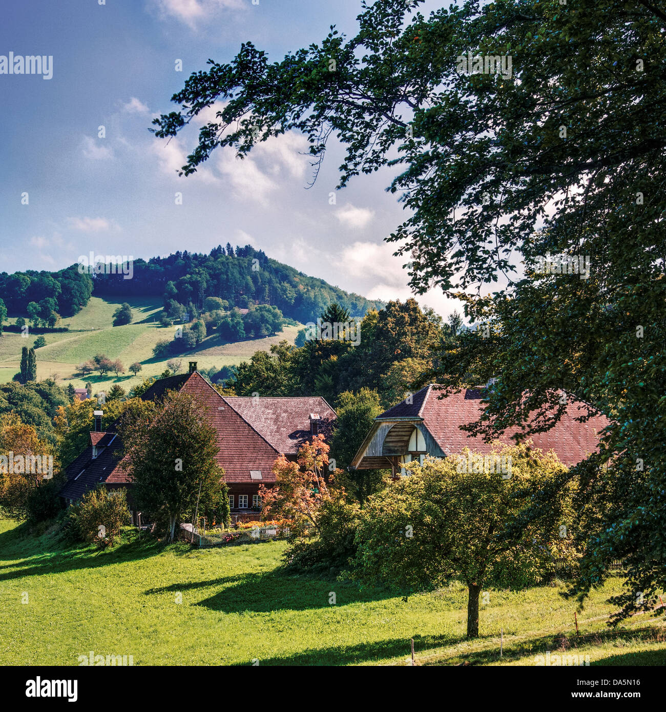 Agriturismo, agriturismo, albero, Breitloon, Emmental, house, home, corte, cortile, Canton Berna, Berna, scenario, agricoltura, Svizzera, Euro Foto Stock