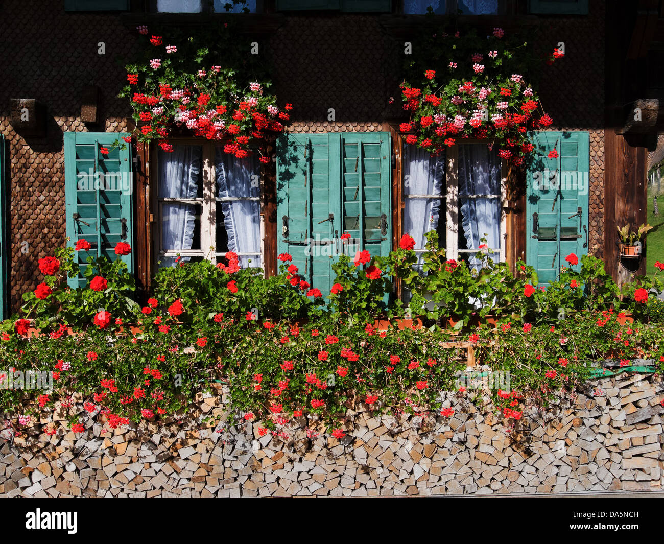 Floreali, decorazione, legna da ardere, Emmental, energia legno, finestra, otturatore, gerani, house, casa, corte, cortile, canton Berna Berna, wo Foto Stock