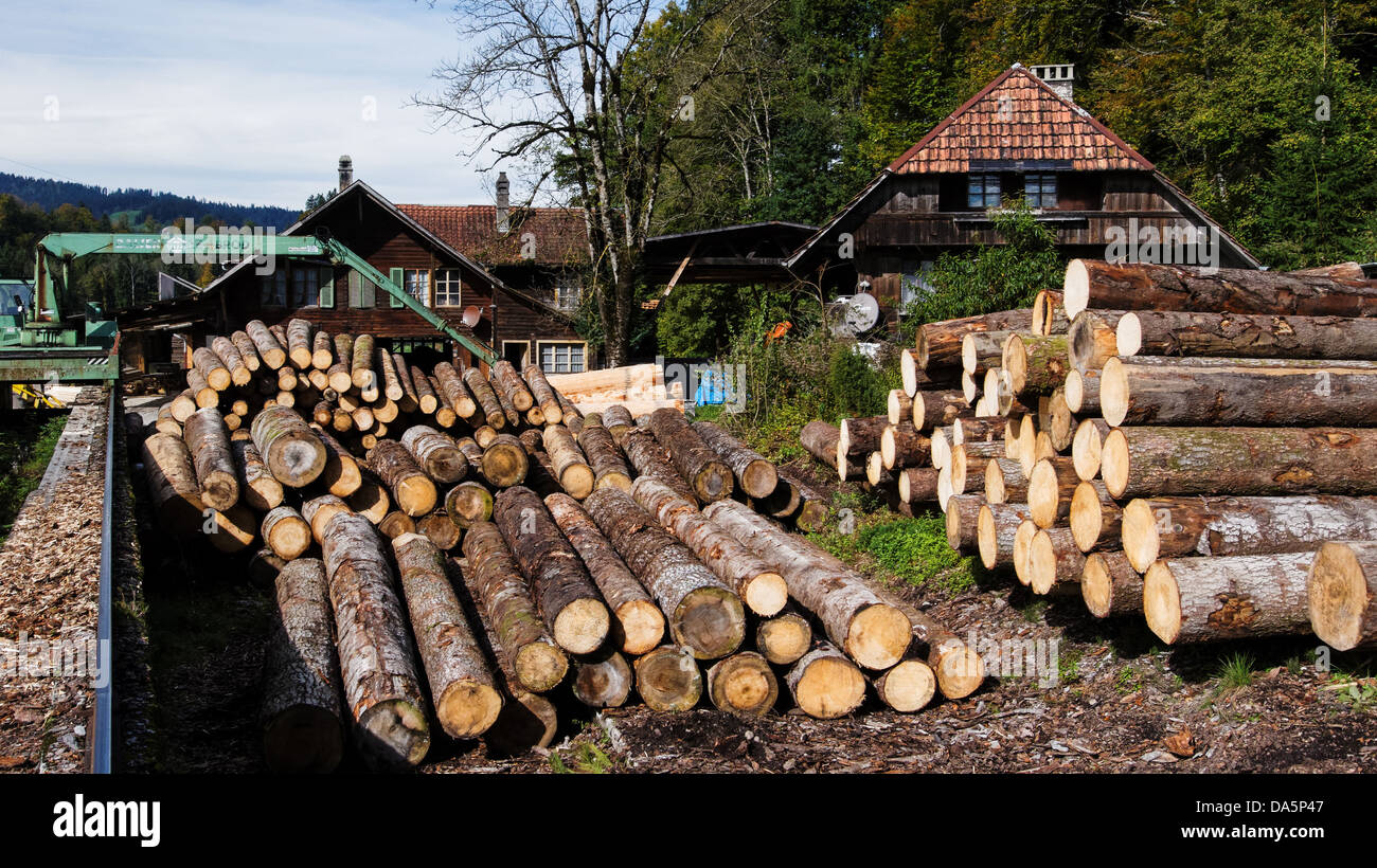 Tronco, tronchi, Emmental, legno, canton Berna Berna, legname, Svizzera, Europa, Signau, famiglia legno, Sägerei, Sägeret, legno Foto Stock