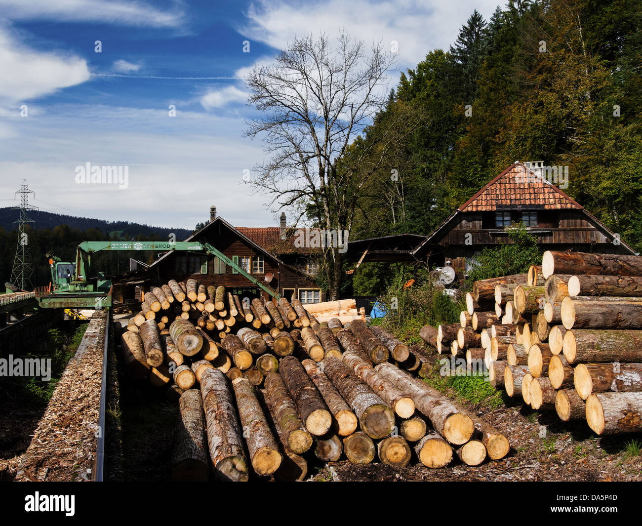Tronco, tronchi, Emmental, legno, canton Berna Berna, legname, Svizzera, Europa, Signau, famiglia legno, Sägerei, Sägeret, legno Foto Stock