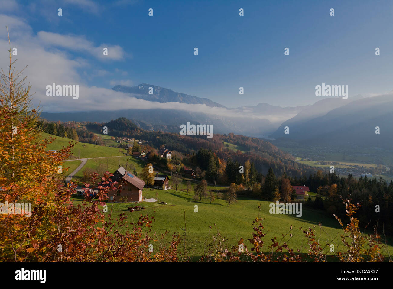 Umore, autunno, Bad Goisern, Austria superiore, Austria, Europa, luminoso, fogliame, nebbia, umore, legno, foresta, Foto Stock