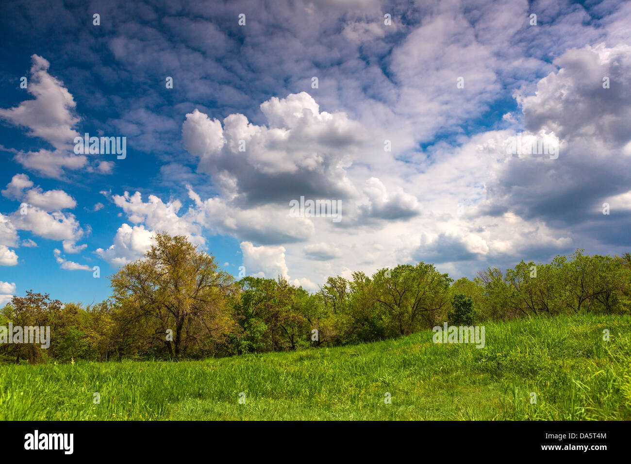 Campo verde paesaggio Foto Stock