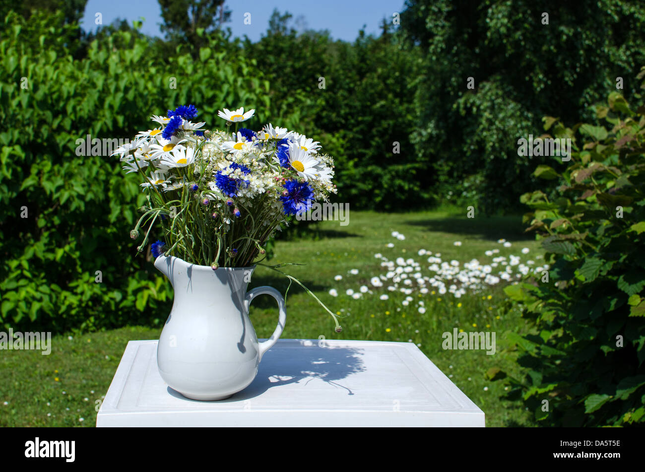 Bouquet di blu e bianco fiori estivi all'aperto in un giardino Foto Stock