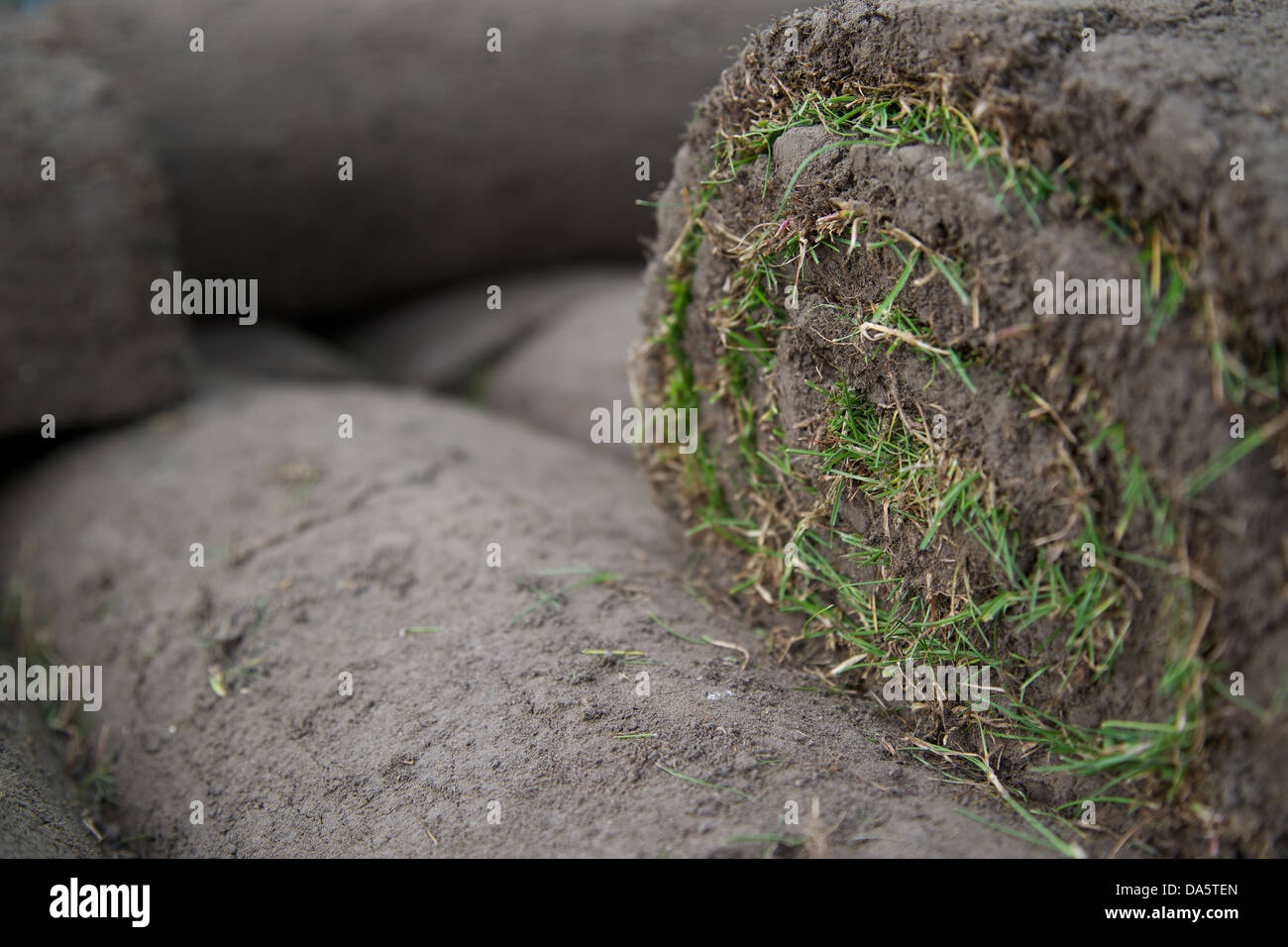 Rotoli di appena cresciuta turf pronto per essere prevista Foto Stock