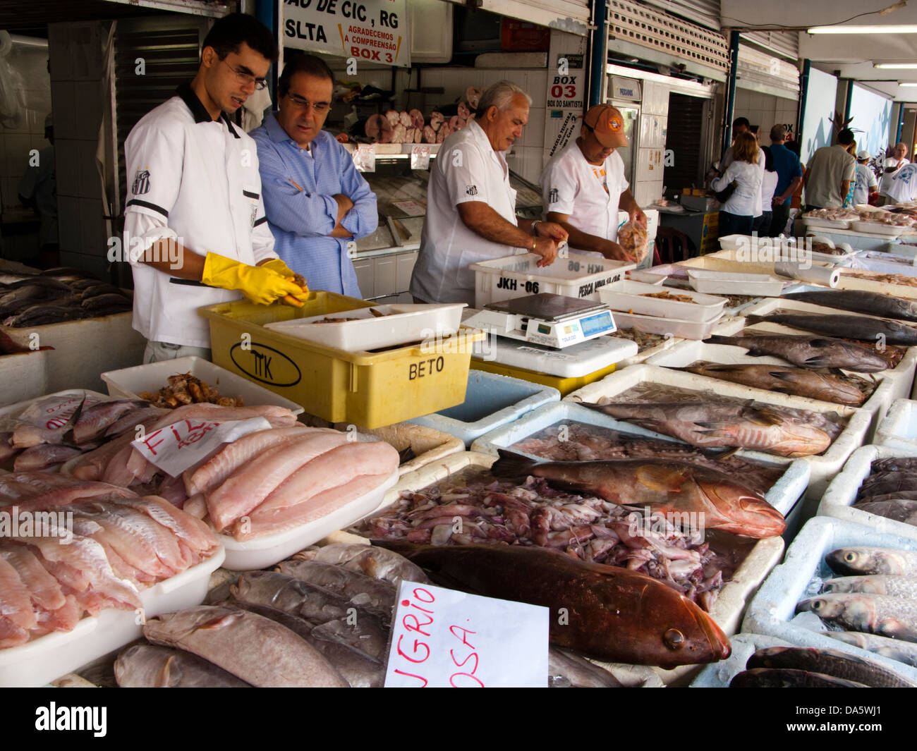 Strada locale mercato di pesca alla città di Santos, Sao Paulo, Brasile Foto Stock