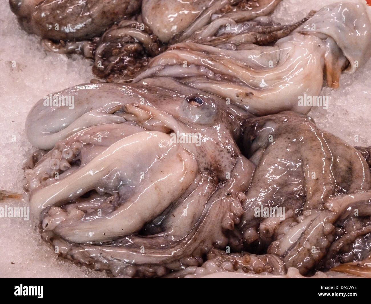 Il polpo fresco per la vendita nel mercato del pesce in Ciutadella de Menorca Spagna Foto Stock