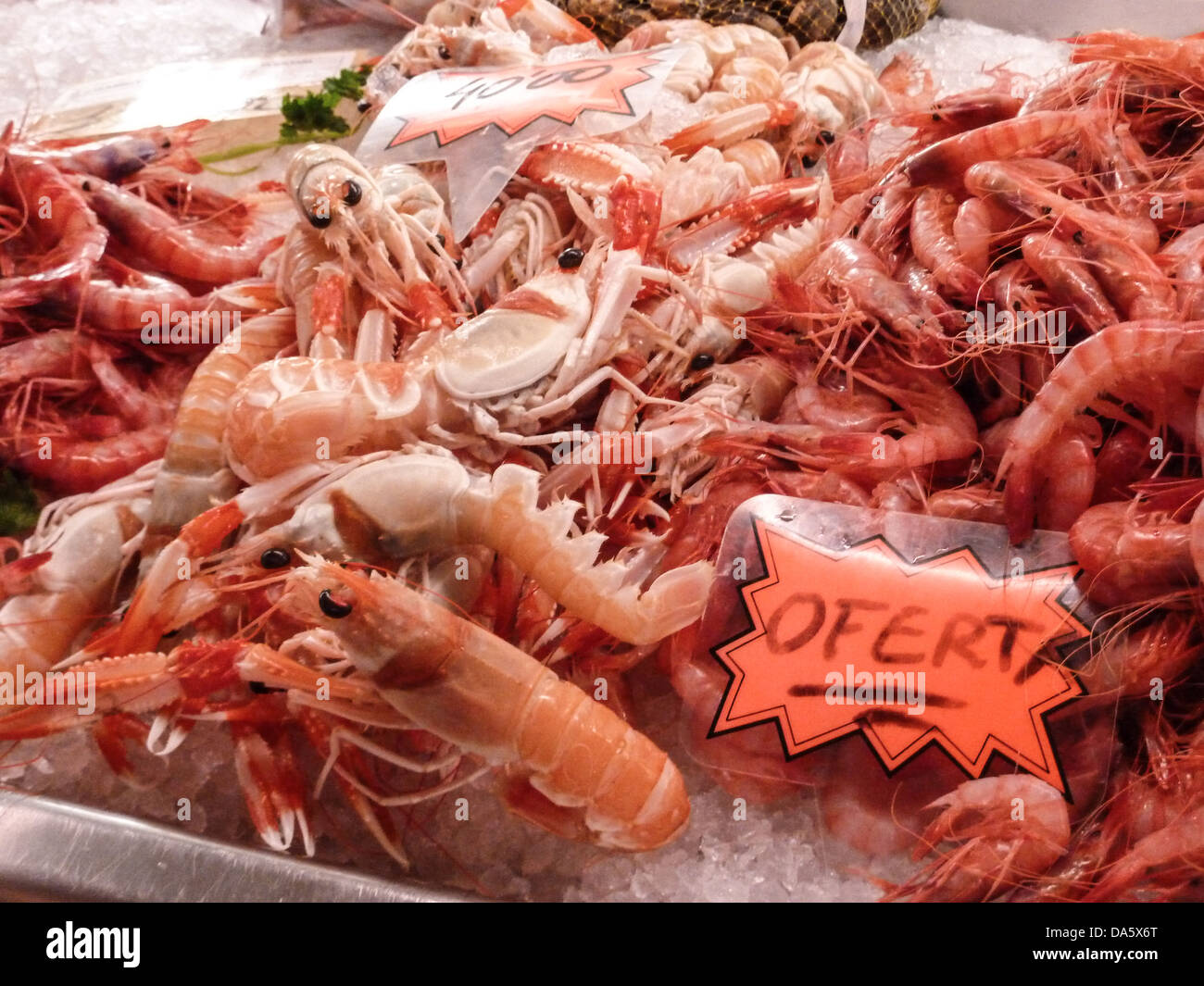 Gamberetti freschi / gamberi in vendita in Ciutadella de Menorca mercato del pesce in Spagna Foto Stock