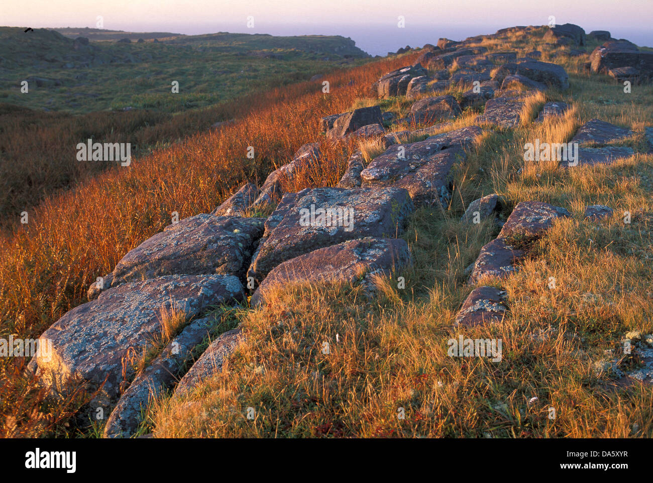 Cape Mary's, ecologico, riserva, Terranova, Canada, rocce, paesaggio, Foto Stock