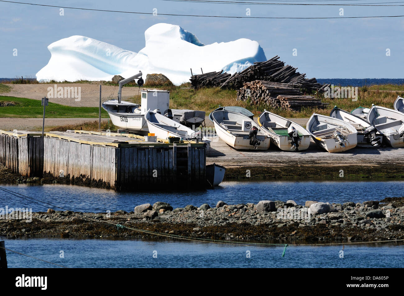 Iceberg, barche, Twillingate, Terranova, Canada, ghiaccio Foto Stock