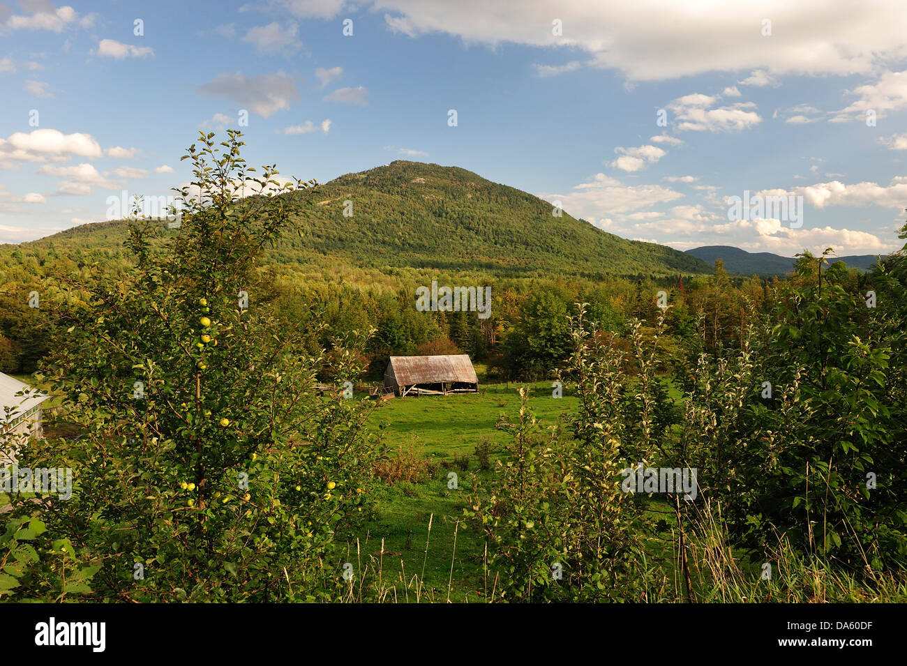 Canada, nuvole, Eastern Townships, Agriturismo, colline, Quebec, rurale, paesaggio, apple orchard, mele, campo orizzontale, terra, landsc Foto Stock