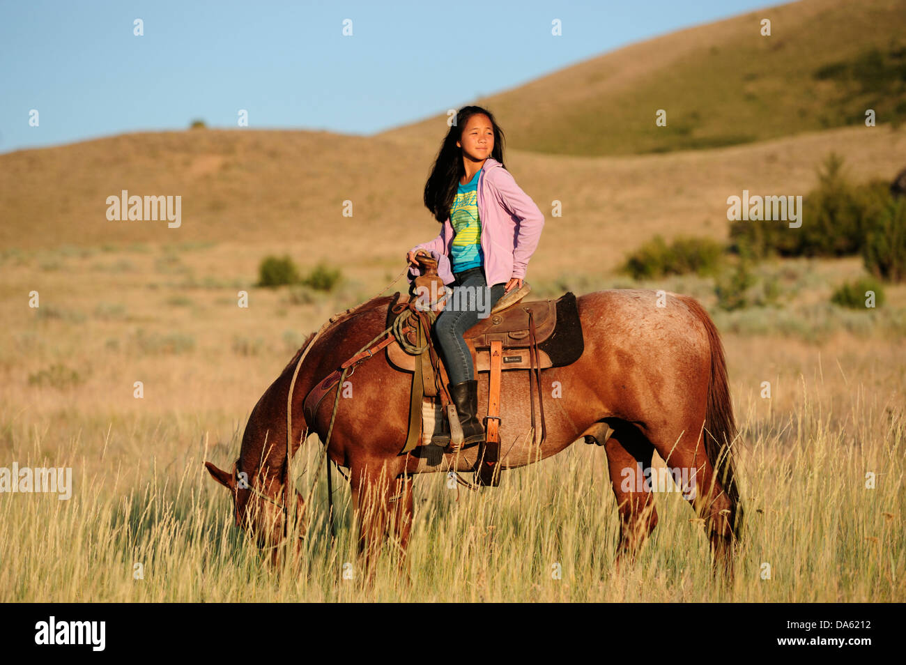 Pacific Northwest, Oregon, Stati Uniti d'America, Stati Uniti, America, equitazione, escursioni a cavallo, sport, cavallo, ranch, dude, ragazza, cinese, erba, tour Foto Stock