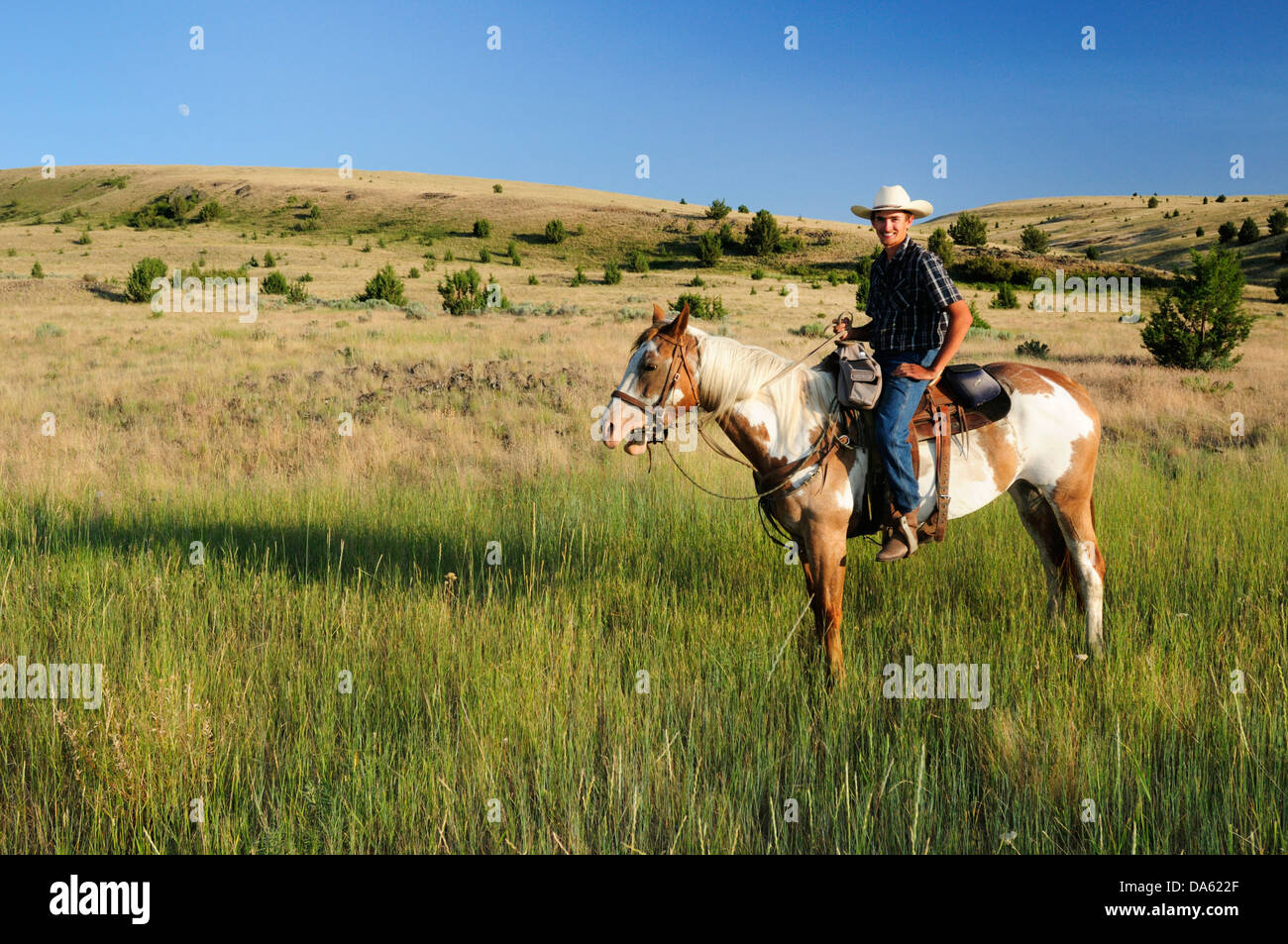 Pacific Northwest, Oregon, Stati Uniti d'America, Stati Uniti, America, equitazione, escursioni a cavallo, sport, cavallo, ranch, cowboy, erba, verde Foto Stock