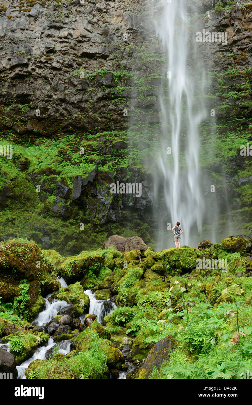 Watson Falls, Oregon, Roseburg, Oregon, Stati Uniti d'America, Stati Uniti, America, acqua, cascata verde natura, paesaggio, Foto Stock