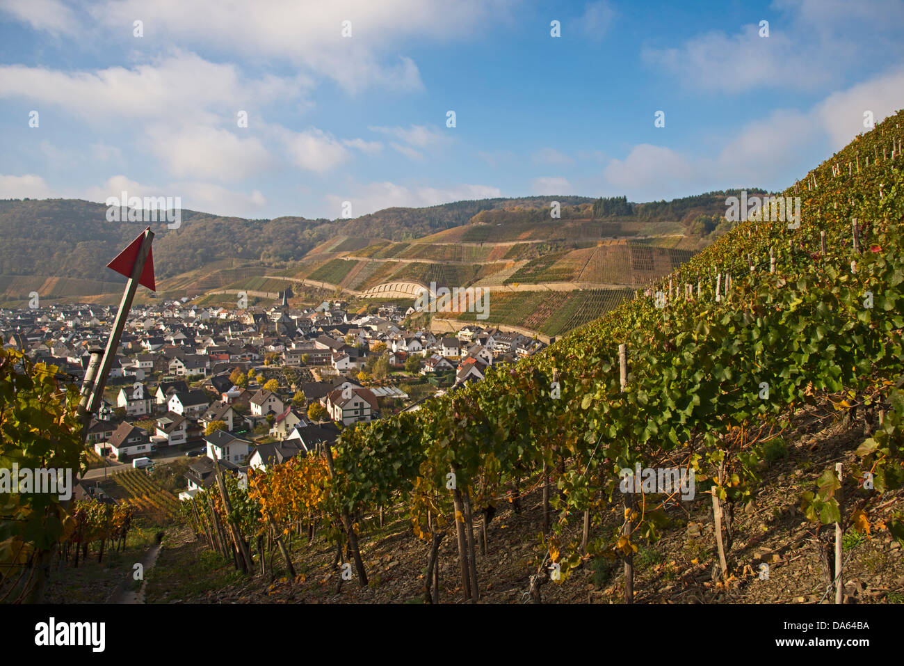 Il villaggio del vino, Dernau, Ahr, vigneti, Ahrtal, coltivando, vino rosso, uva, vino rosso area di coltivazione, Eifel, Rhineland-Palatina Foto Stock