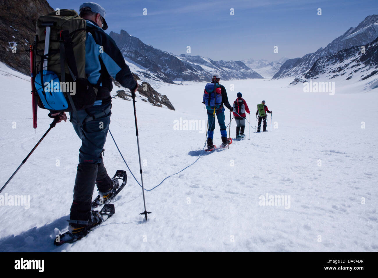 Neve scarpa escursione con le racchette da neve, tour, tour di montagna, ghiacciaio Jungfrau, luogo Konkordia, montagna, montagne, ghiacciai, ghiaccio, mora Foto Stock