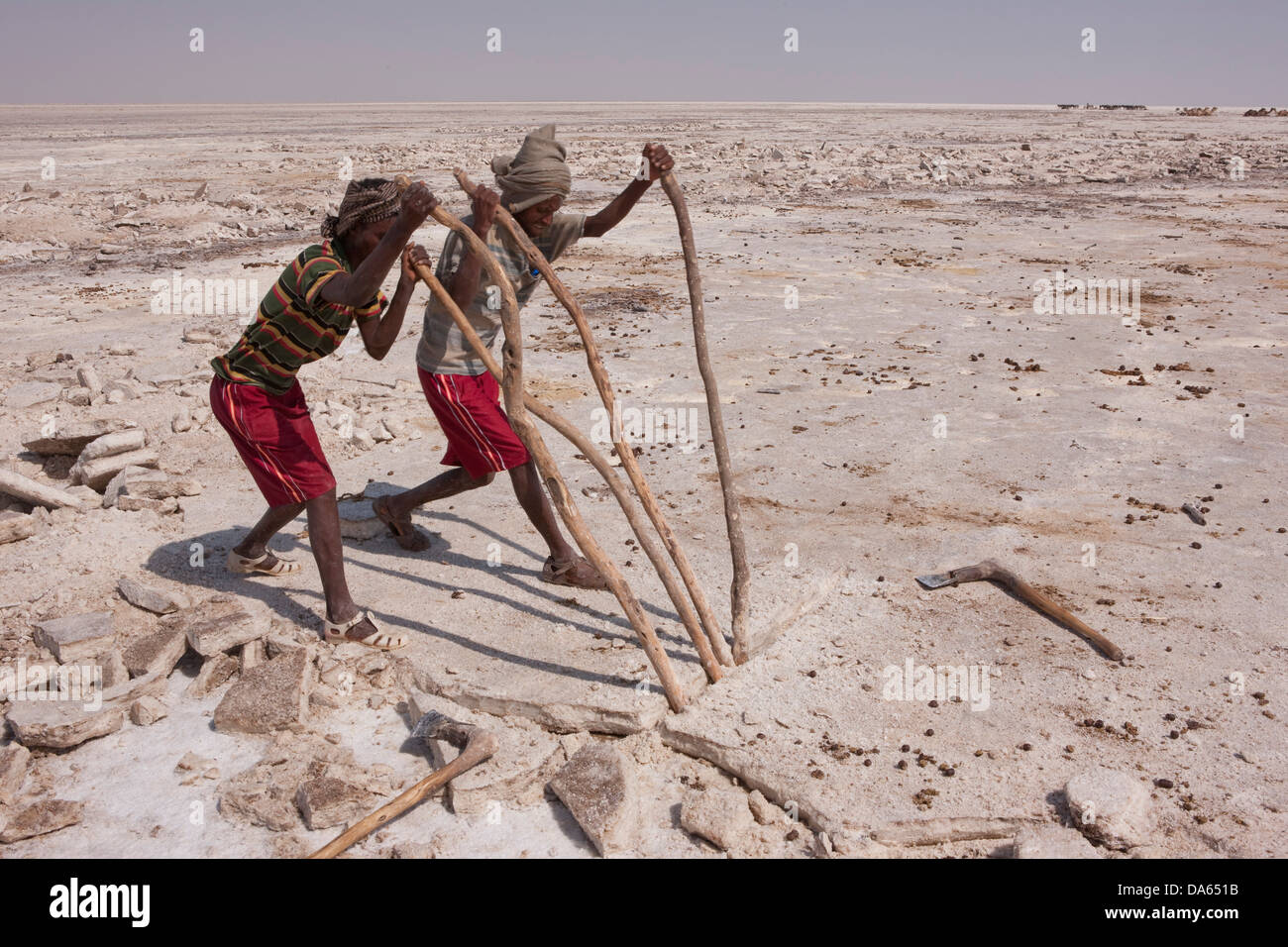 Miniere di sale, Dallol, Danakil, Africa, traffico, trasporti, sale, saltwork, miniere di sale, assale, Salt Lake, uomini, lavoratori polacchi, p Foto Stock