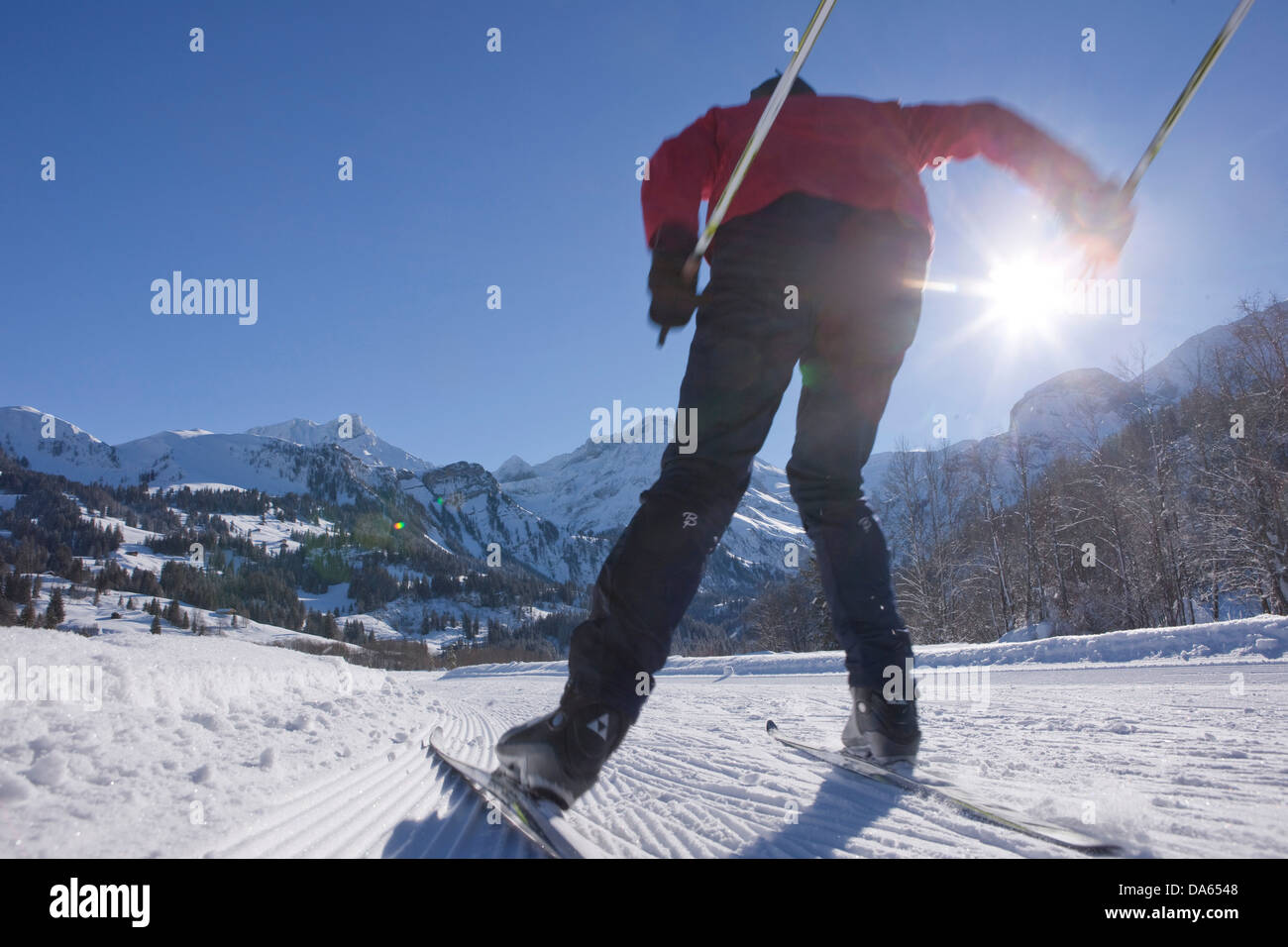 Sci da fondo, sci, Lauenen, inverno, villaggio, il cantone di Berna Oberland Bernese, cross-country, sci Svizzera, Europa, uomo, Foto Stock