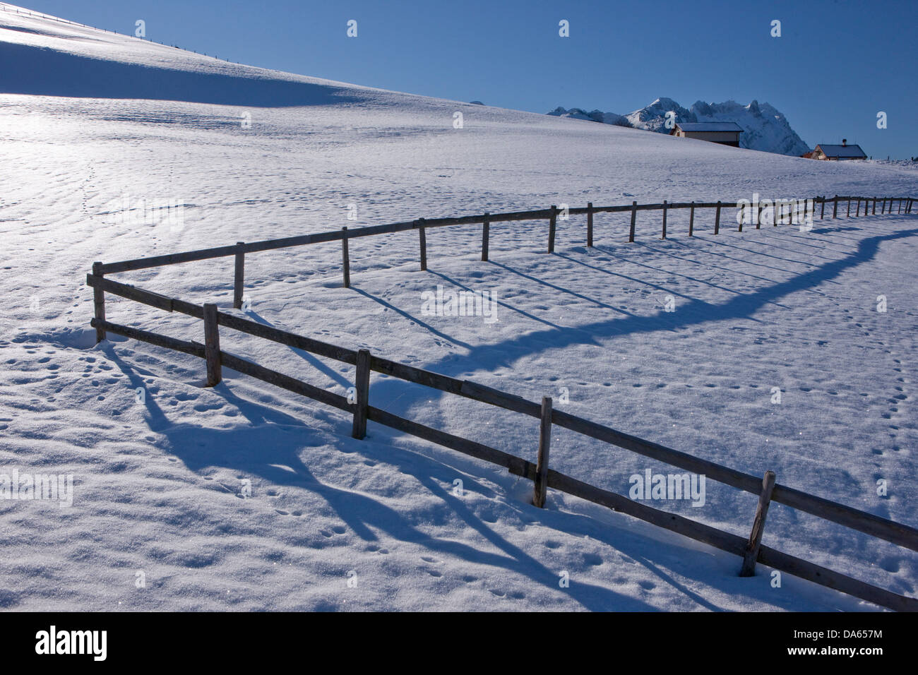 Hedge, neve montagna, montagne, agricoltura, cantone di Appenzell, Innerroden, area di Appenzell, Alpstein, Säntis, Svizzera, Eur Foto Stock
