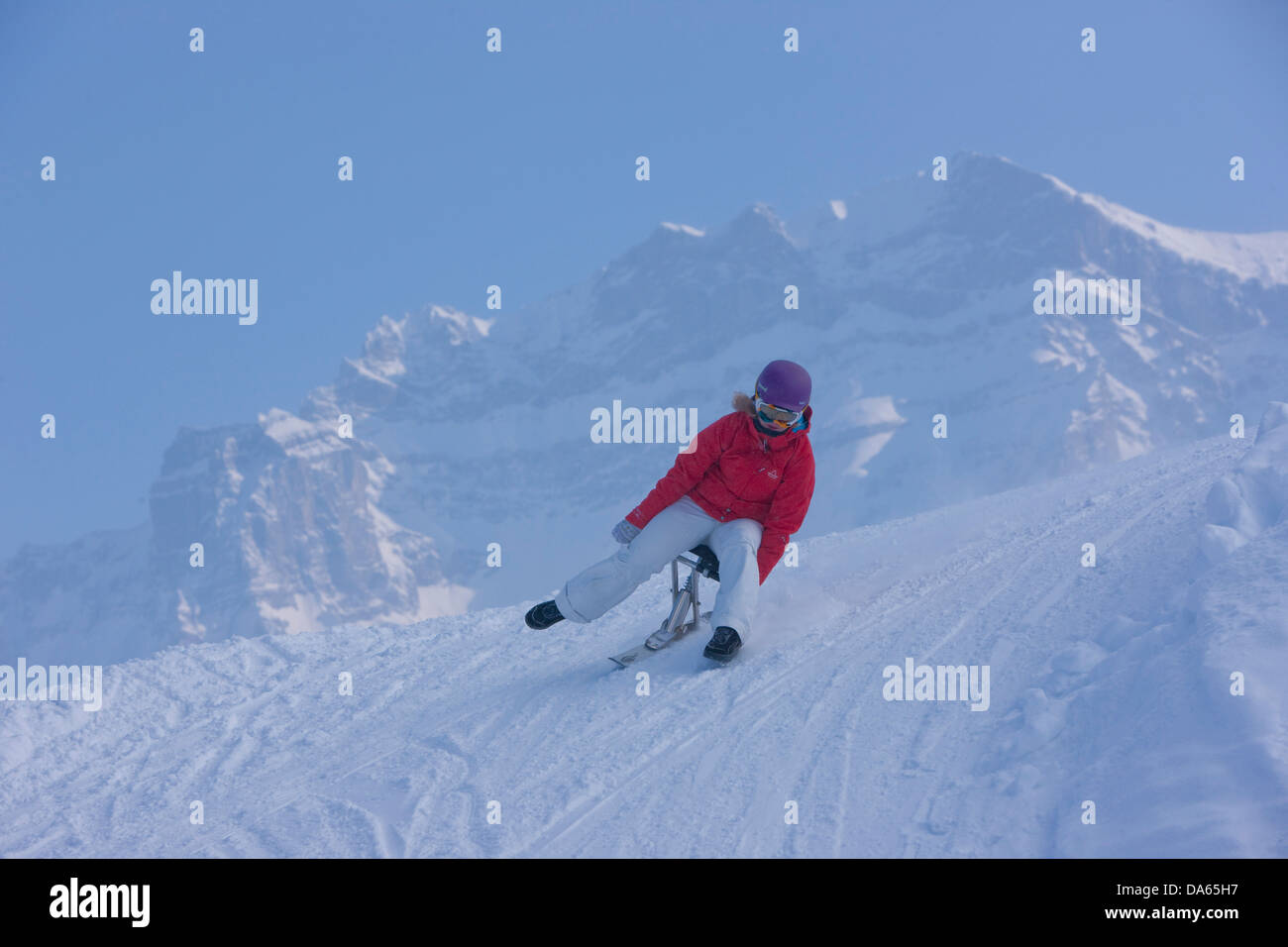 Skibock, Adelboden, turismo, vacanze, sentiero in inverno, sport invernali, il cantone di Berna Oberland Bernese, Svizzera, Europa, gir Foto Stock