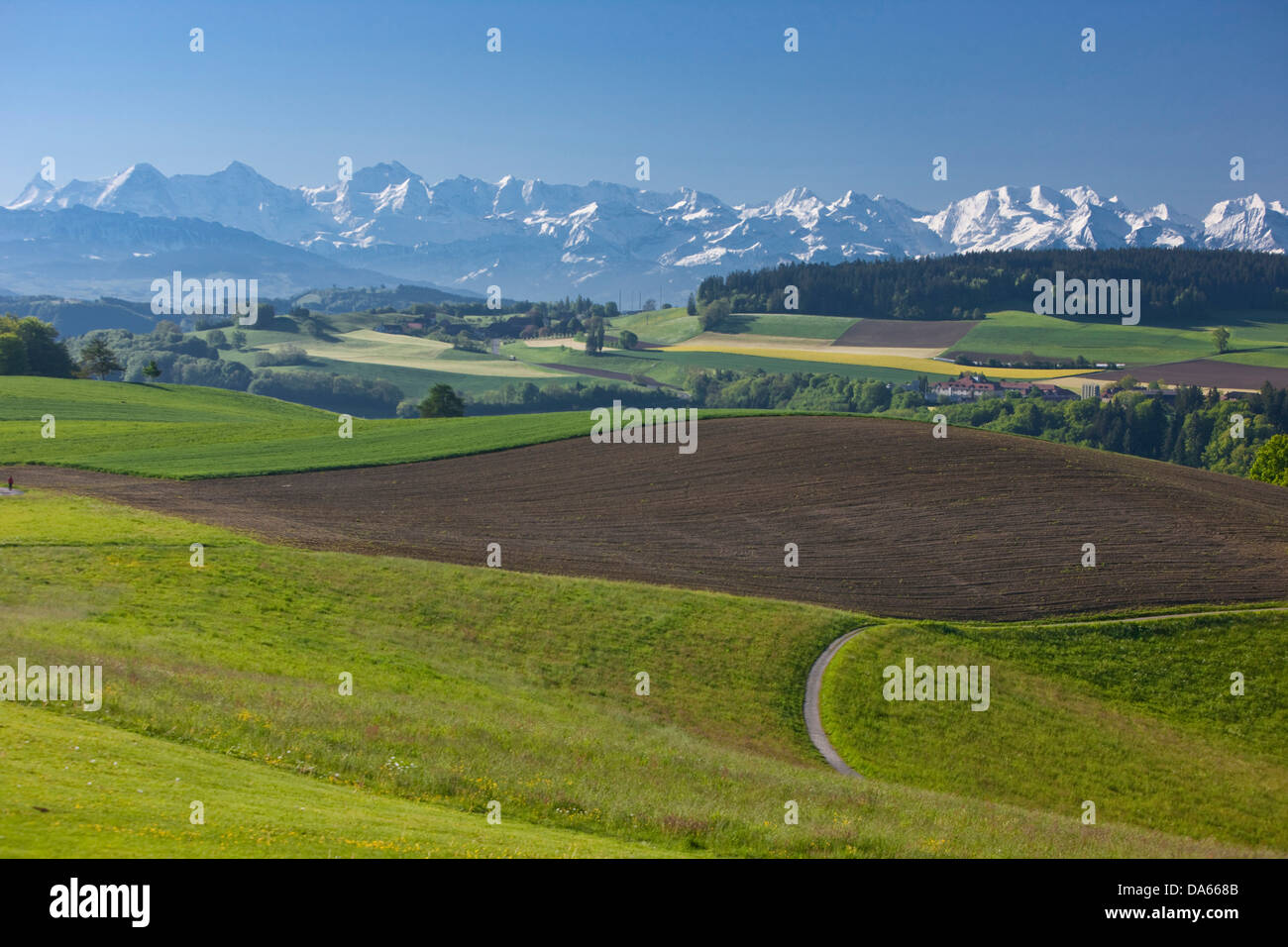 Gurten, Oberland, Alpi, montagna, montagne, il cantone di Berna, Jungfrau, Monaco, il Mönch e l'Eiger, paesaggio, paesaggio, agricoltura, SVIZZ Foto Stock