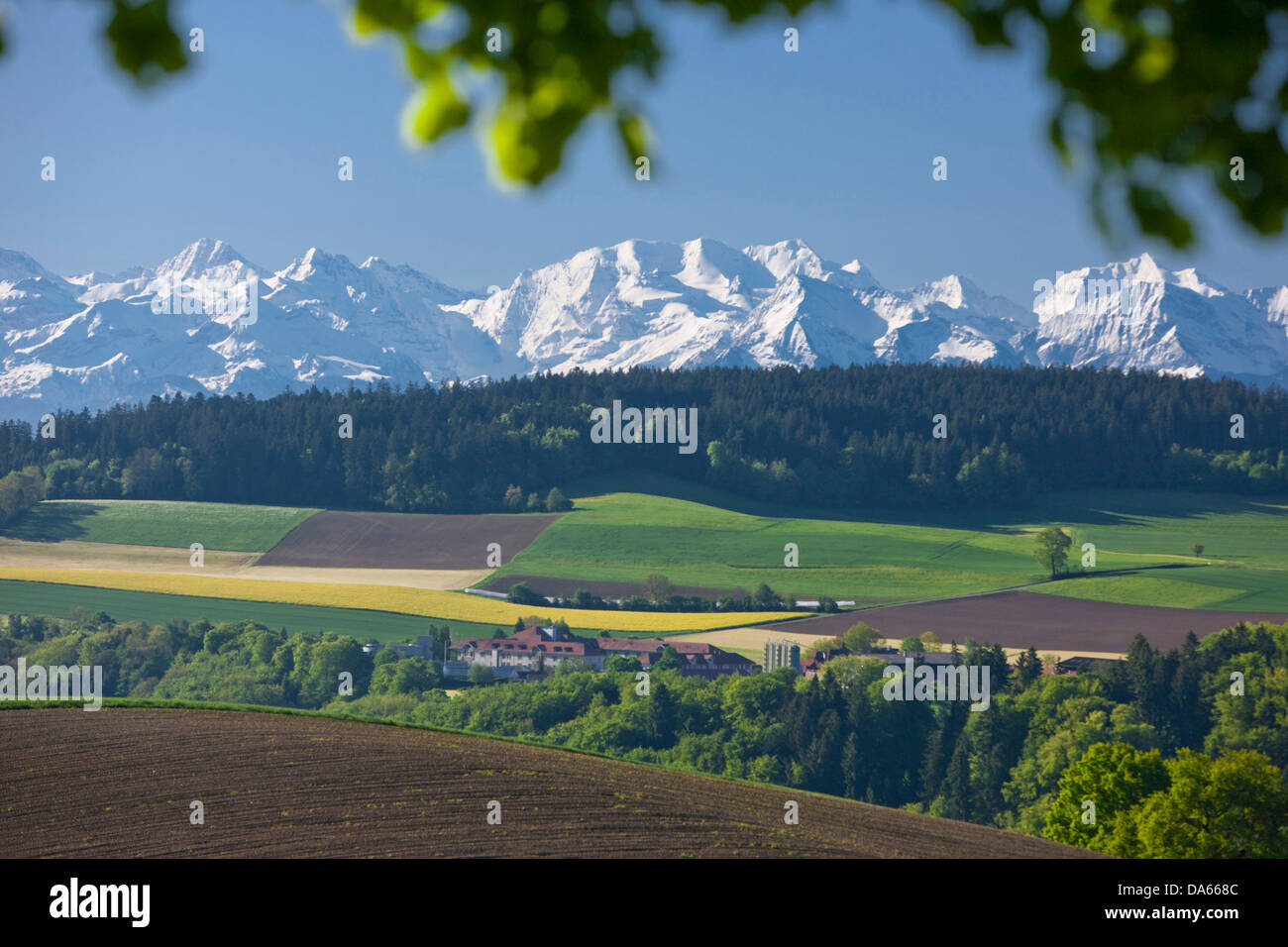Gurten, Oberland, Alpi, montagna, montagne, il cantone di Berna, Jungfrau, Monaco, il Mönch e l'Eiger, paesaggio, paesaggio, agricoltura, SVIZZ Foto Stock