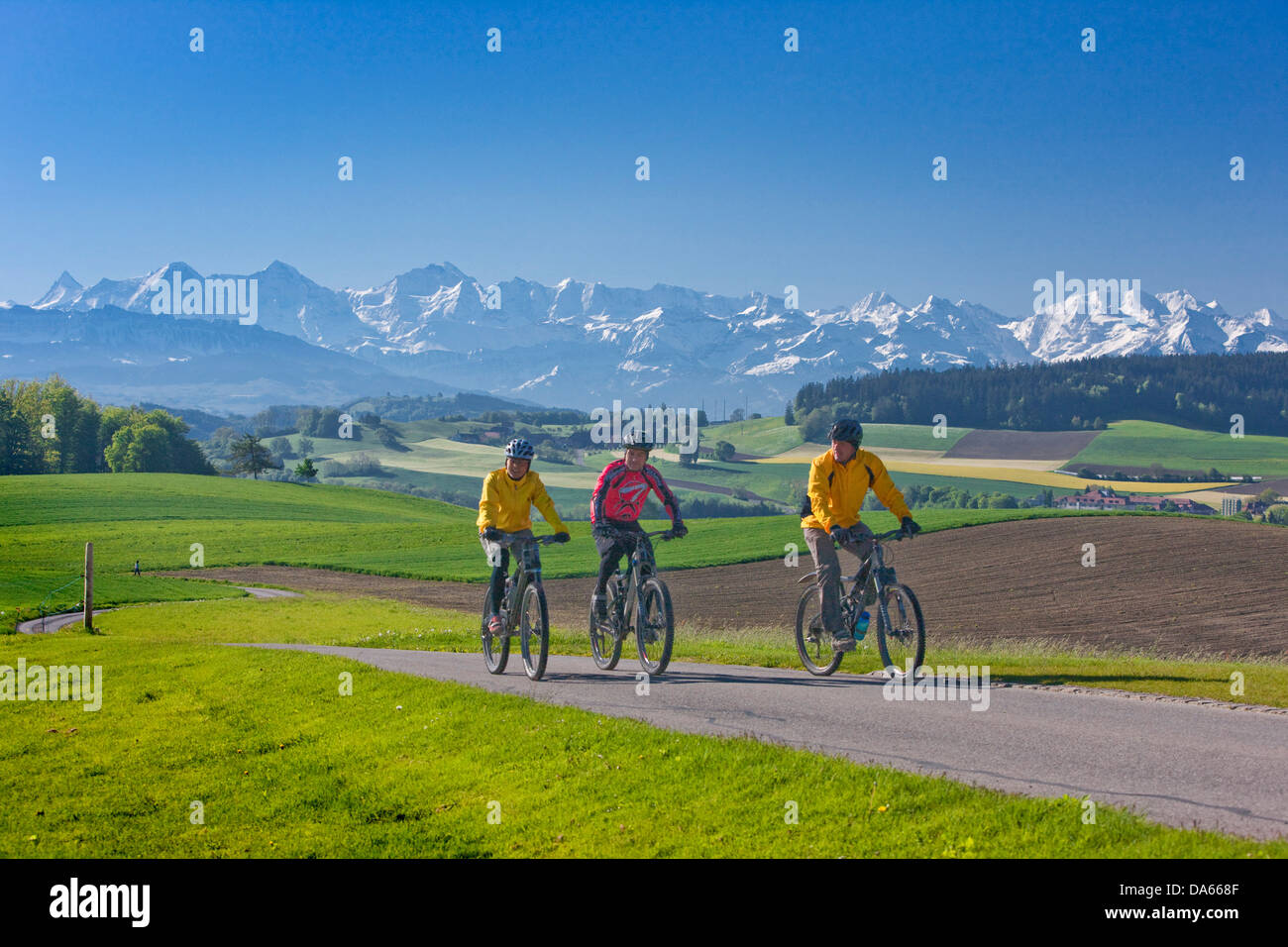 Biker, Gurten, montagna, montagne, bicicletta, biciclette, moto, in sella ad una bicicletta, estate sport, sport, tempo libero, svago, adventu Foto Stock